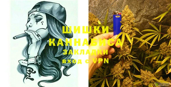 2c-b Новозыбков