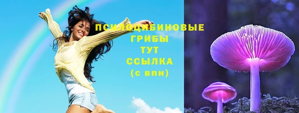 синтетический гашиш Новодвинск