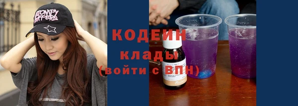2c-b Новозыбков