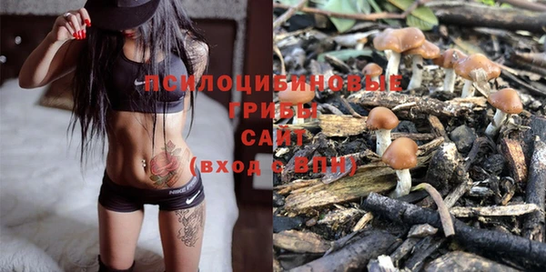 синтетический гашиш Новодвинск